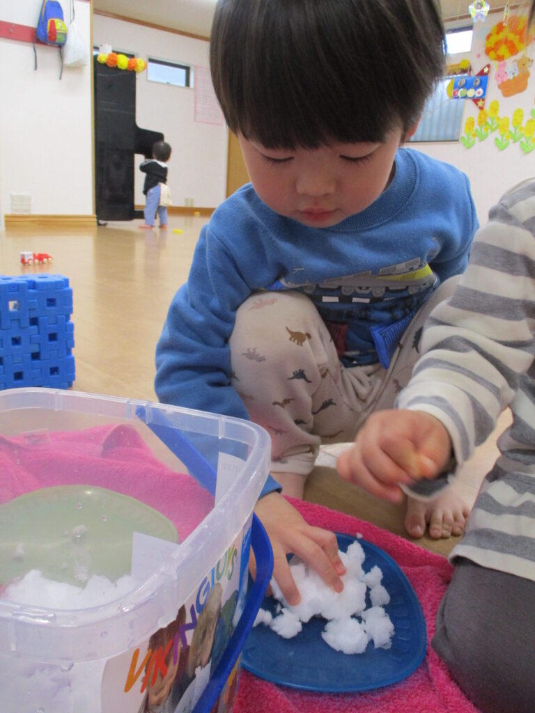 園の様子を公開しました画像