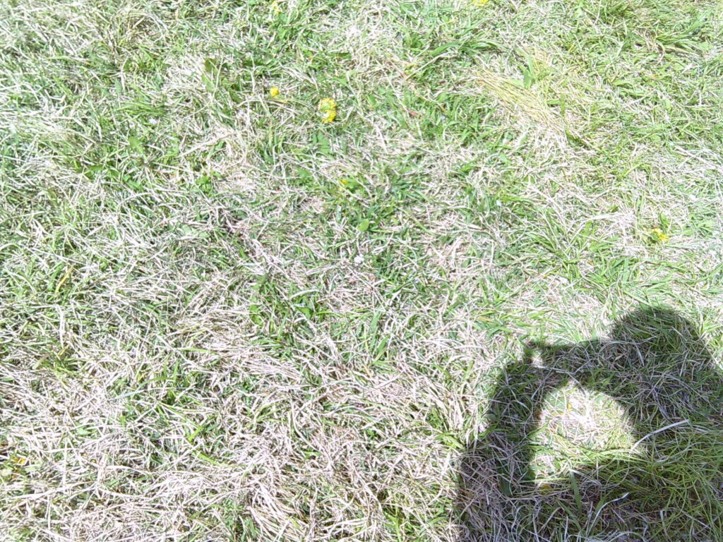 えんの様子を更新しました。画像