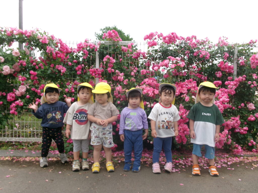 バラ公園画像