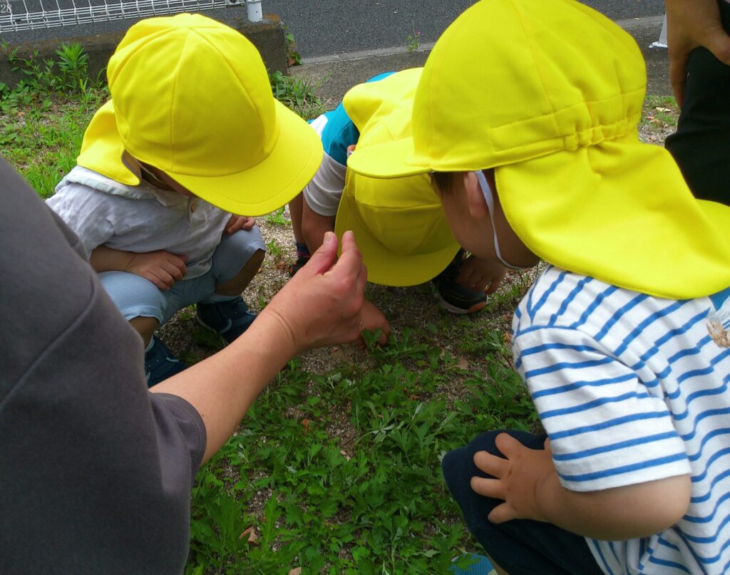 えんの様子を更新しました。画像
