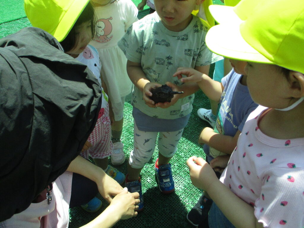 なすがおおきくなったよ！画像