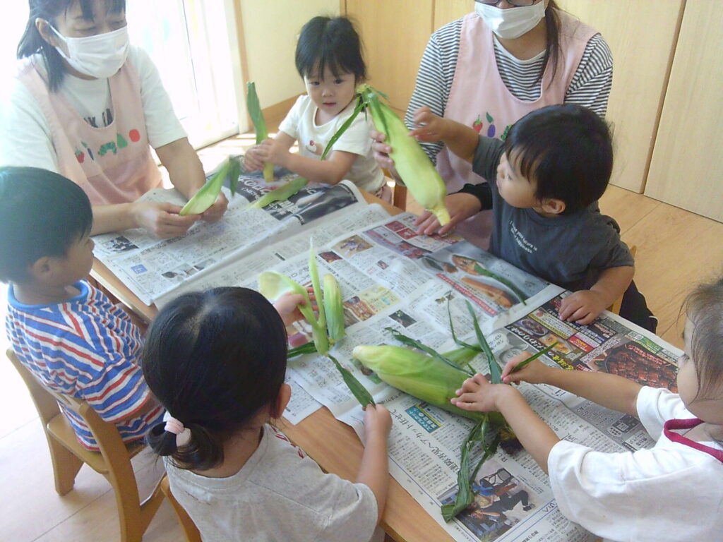 とうもろこしさわったよ画像