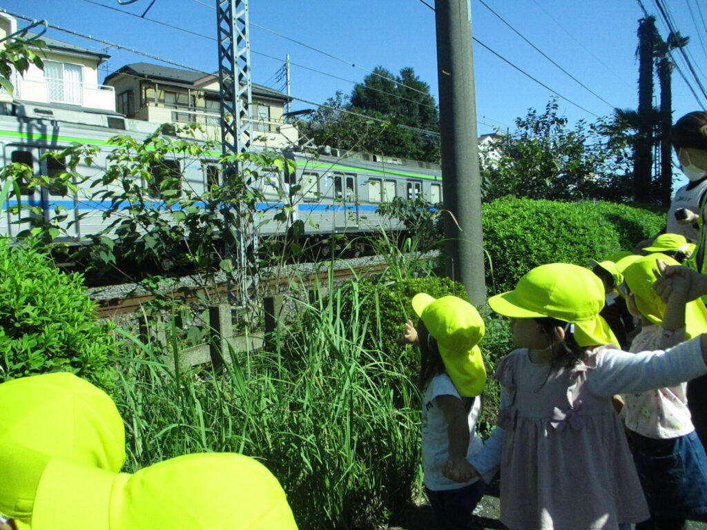 秋を探しに!画像