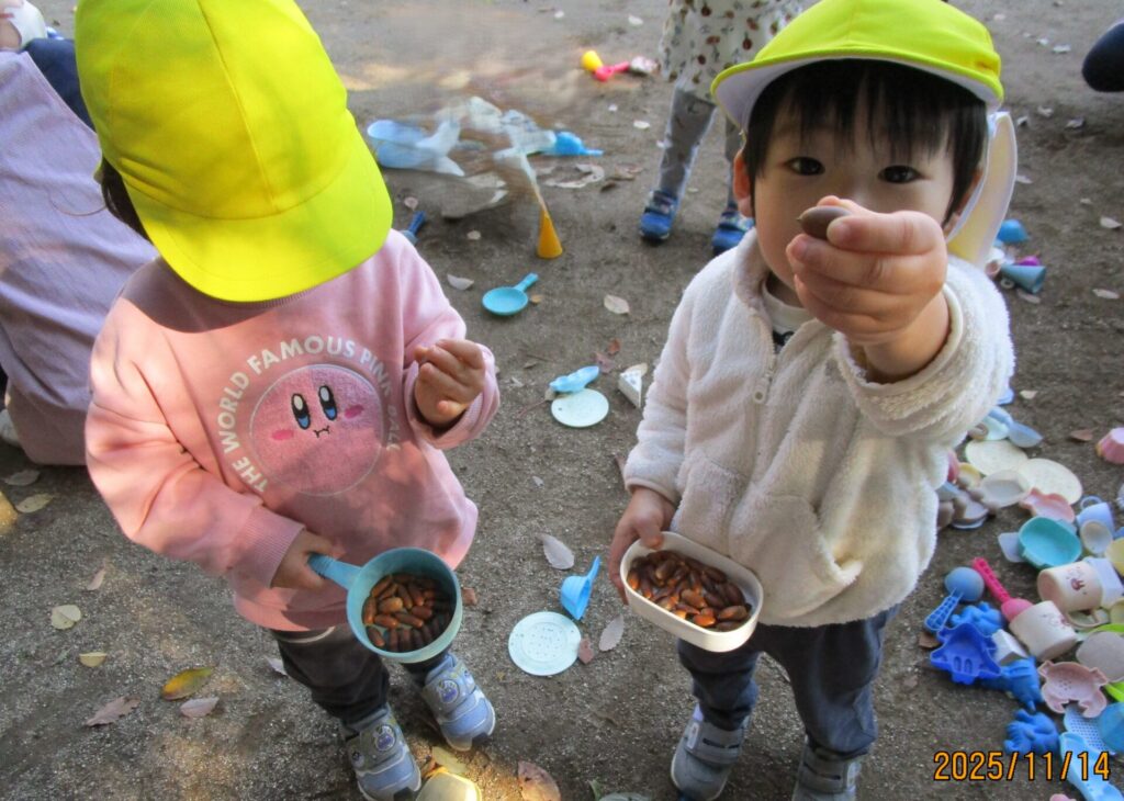 どんぐり☆画像