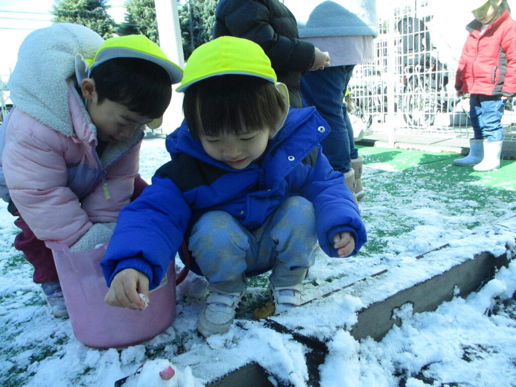 雪が積もったよ♪画像