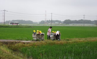 田んぼには・・・画像