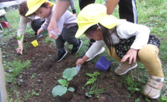 えんの様子を更新しました。画像