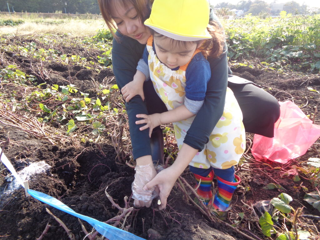 いもほり遠足画像