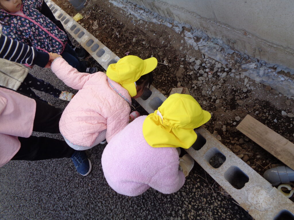 何かあるの？画像